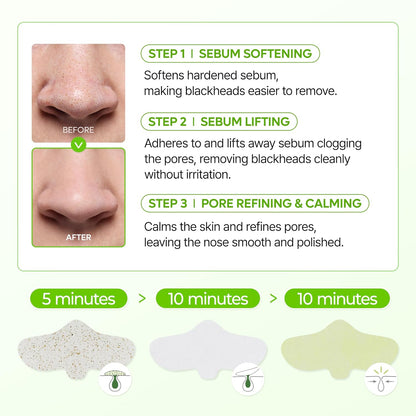 CACTOX Ultimate 7-Step