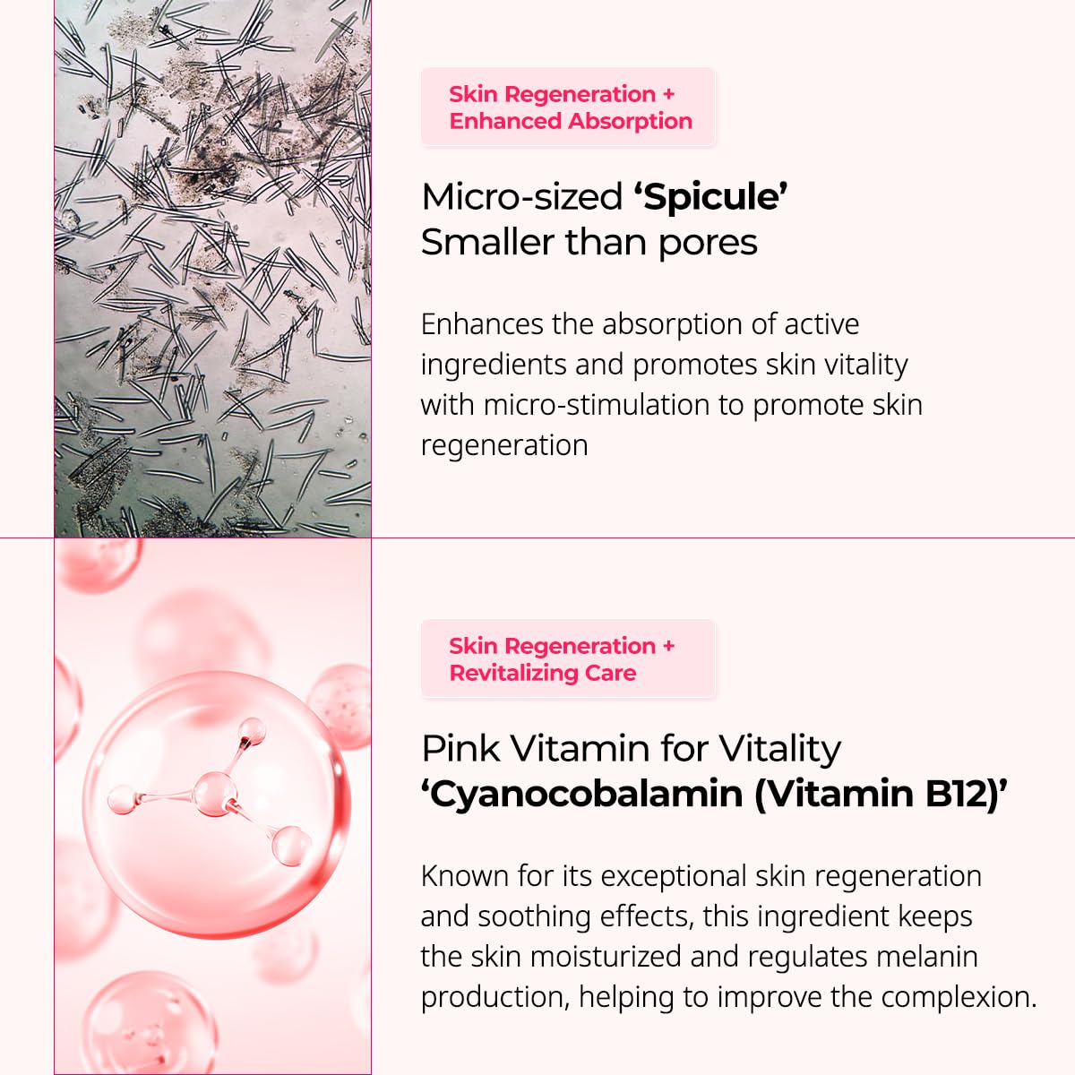 Collagen Boost (5pc Set)